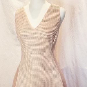 Donna Karan Blush Dress